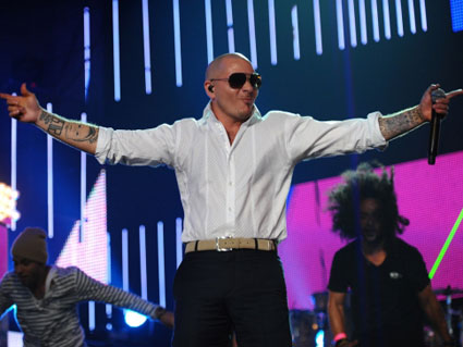 Pitbull Pitbull